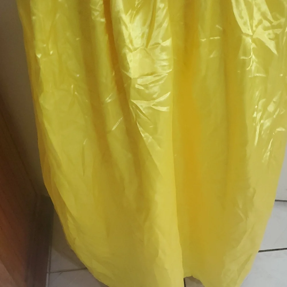 Disney Princess Costume with Blue and Yellow Dress - Picture 5 of 11